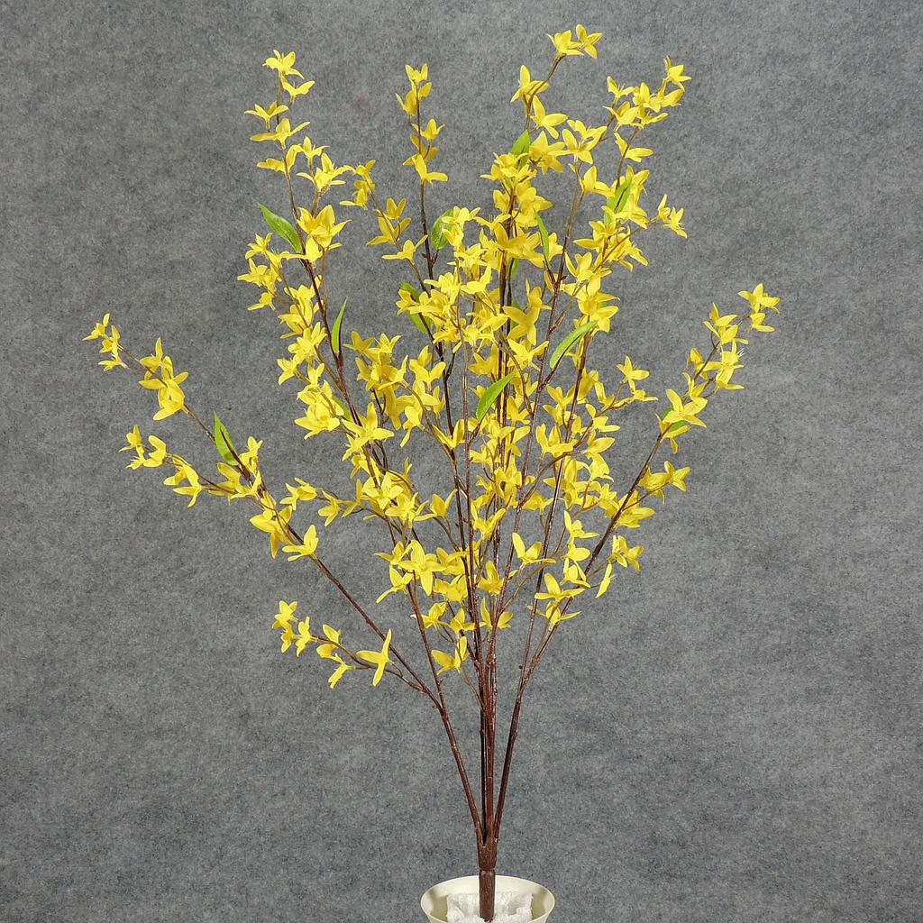 FORSYTHIA BUSH X10    YELLOW 30"