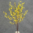 FORSYTHIA BUSH X10    YELLOW 30"