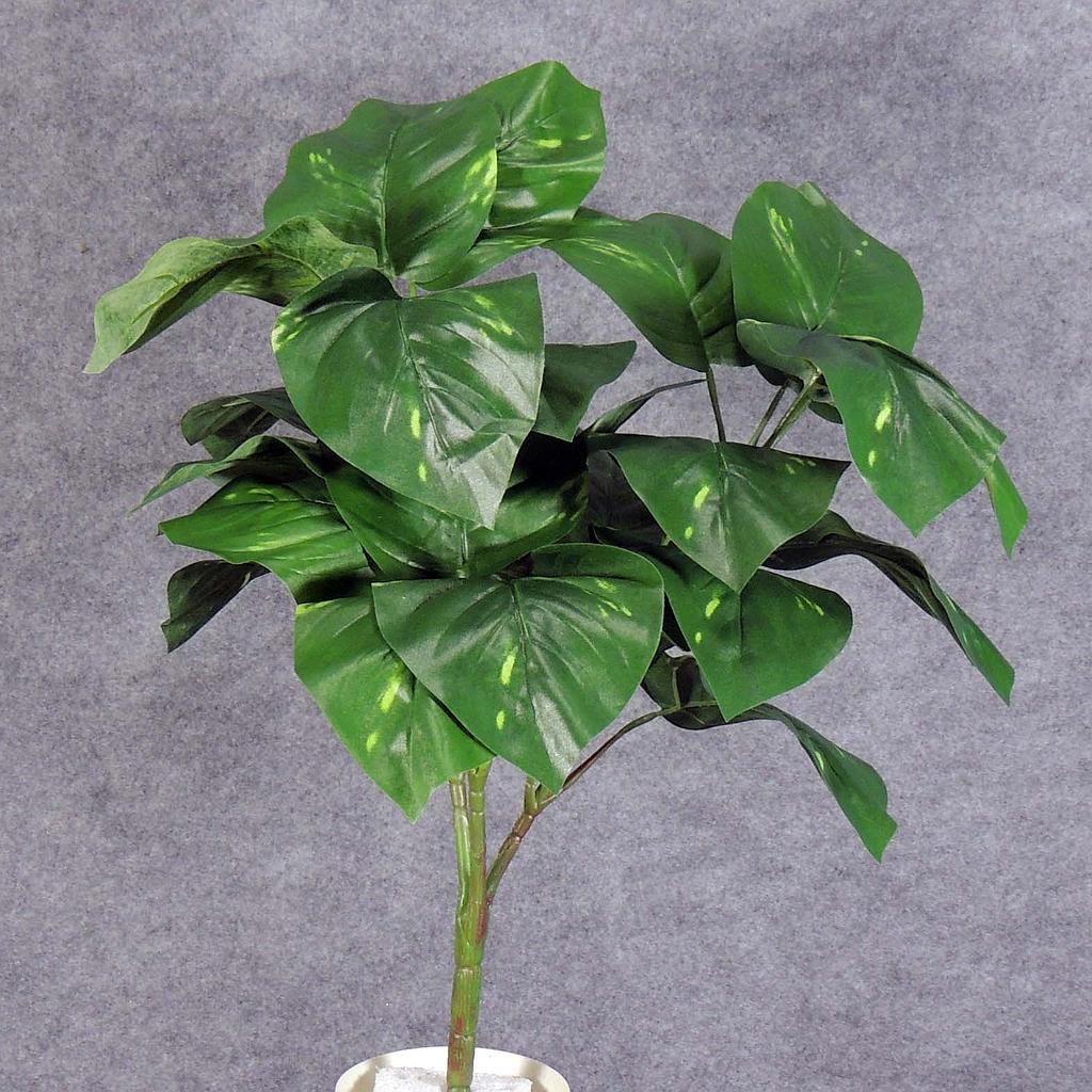 22" POTHOS PLANT W/24 LVS