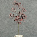 BOXWOOD GIANT SPRAY X9 18"