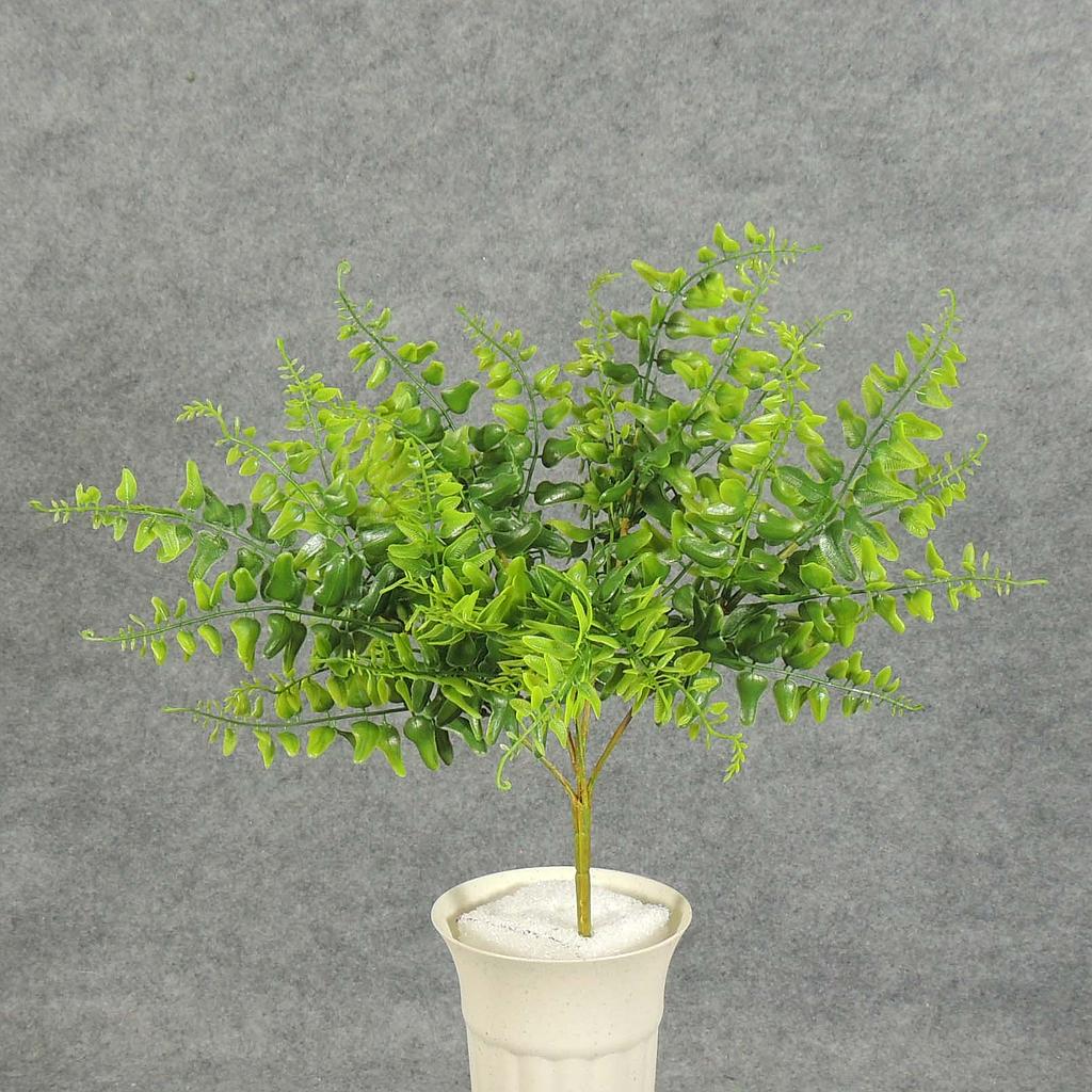 FERN MINI BOSTON BUSH X5 PLASTIC