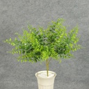 FERN MINI BOSTON BUSH X5 PLASTIC