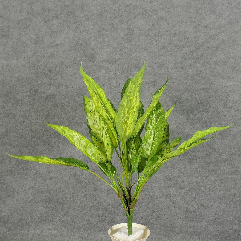 AGLAONEMA BUSHx5 REAL TOUCH 18"