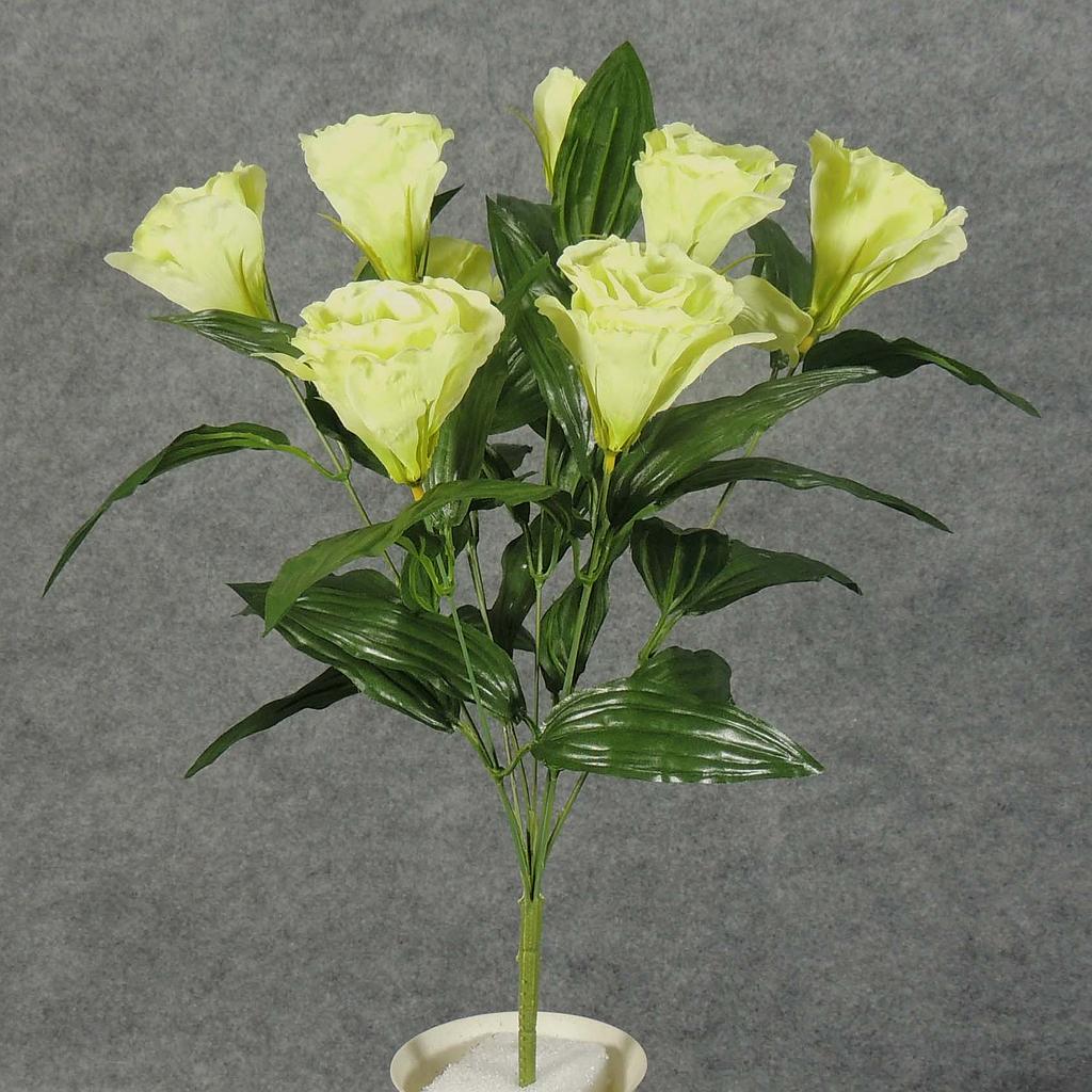LISIANTHUS BUSH X9    GREEN