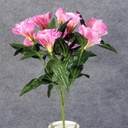 LISIANTHUS BUSH X9   PINK