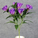 LISIANTHUS BUSH X9   PURPLE