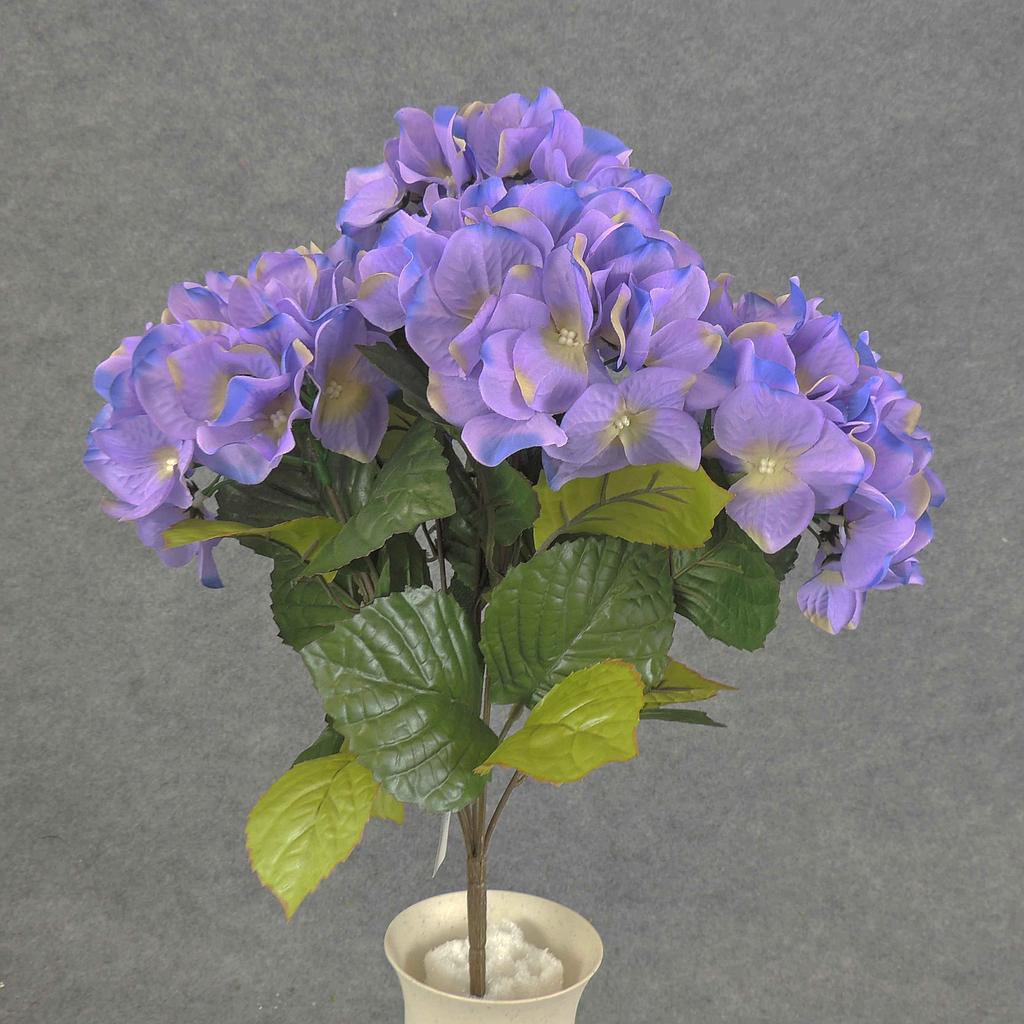 HYDRANGEA BUSH X5 LAVENDER/BLUE