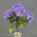 HYDRANGEA BUSH X5 LAVENDER/BLUE