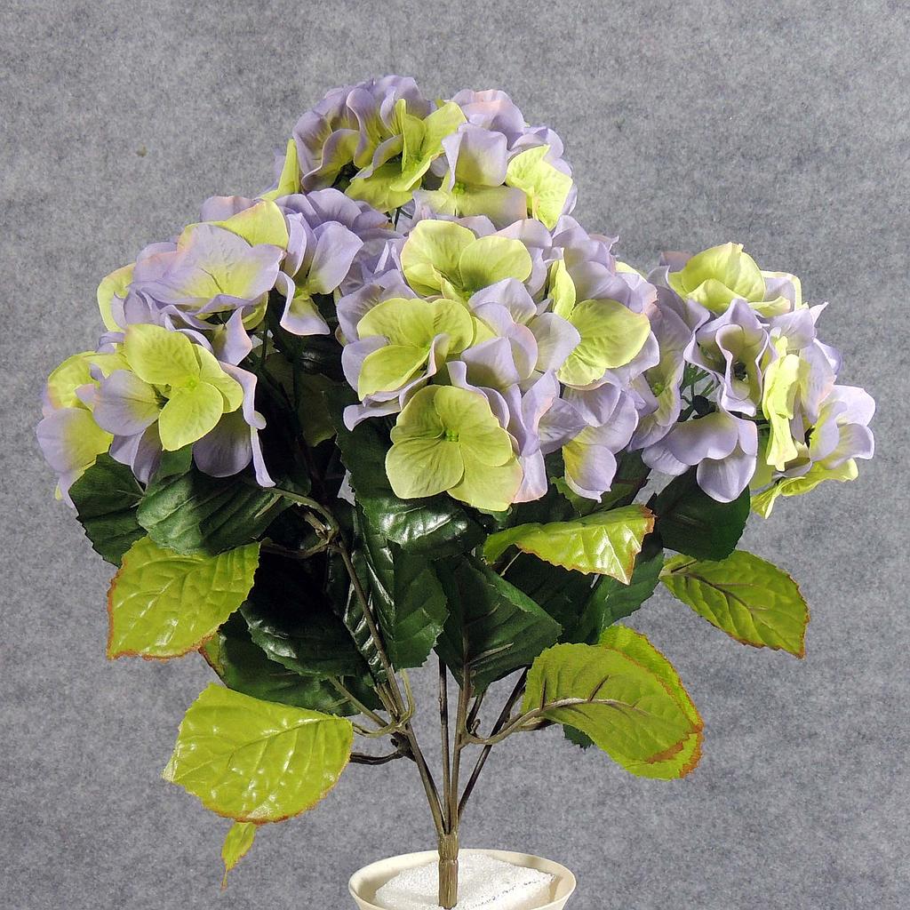 HYDRANGEA BUSH X5 PURPLE/GREEN