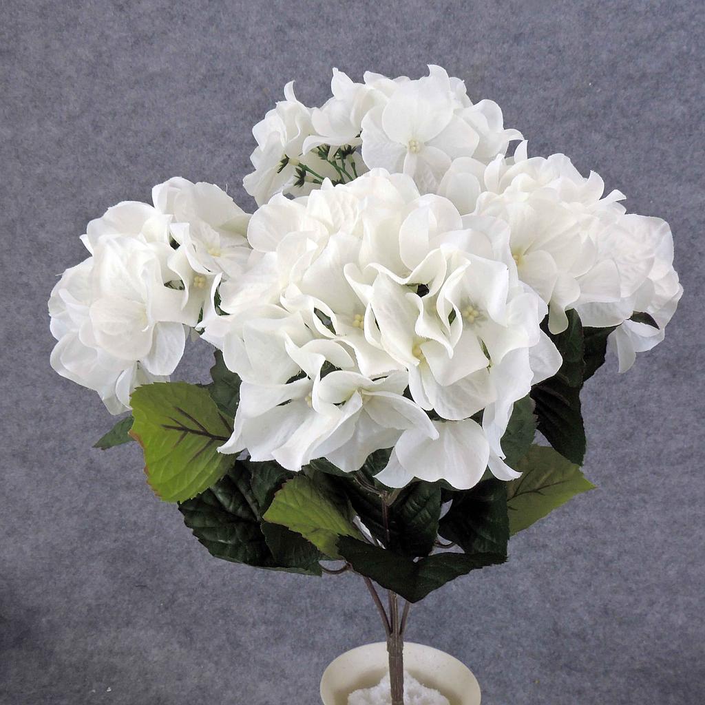 HYDRANGEA BUSH X5  CREAM/WHITE