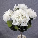 HYDRANGEA BUSH X5  CREAM/WHITE