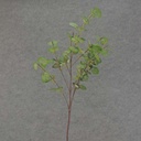 FOLIAGE MINI LEAF SPRAY 35" (STYLE B)