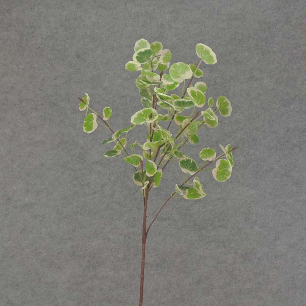 [SB6003-C] 35" FOLIAGE MINI LEAF SPRAY (STYLE C)