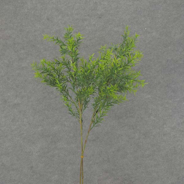 31" SPRINGERI GRASS SPRAY 2/BDL GREEN