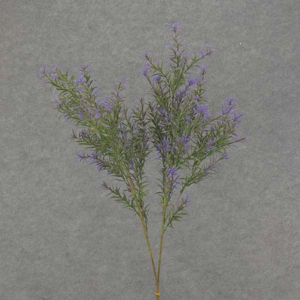 31" SPRINGERI GRASS SPRAY 2/BDL PURPLE