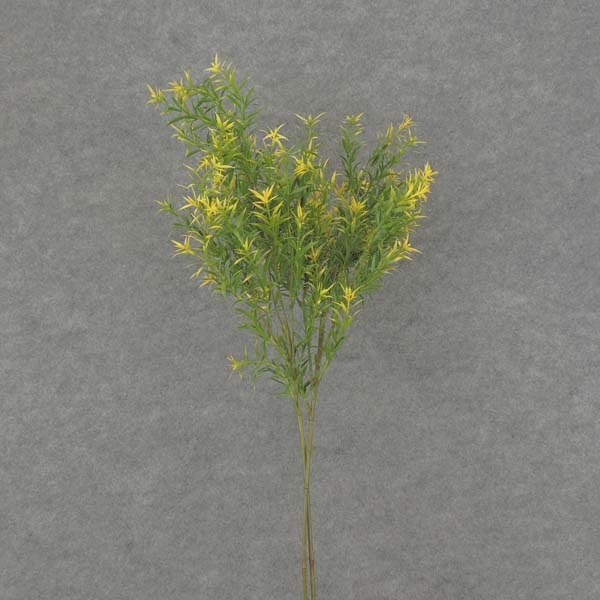 31" SPRINGERI GRASS SPRAY 2/BDL YELLOW