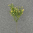 31" SPRINGERI GRASS SPRAY 2/BDL YELLOW