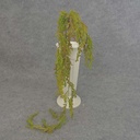 27" VINE HANGING WITH BERRIES