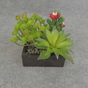 SUCCULENT MIXED 5x6" RED FLWRS WOOD PLANTER