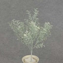TEA LEAF BUSH 14" X7 DUSTY