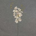 PHALAENOPSIS MINI SPRAY X3 23"  CREAM/WHITE