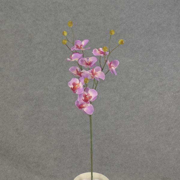 PHALAENOPSIS MINI SPRAY X3 23"  PURPLE