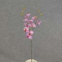 23" PHALAENOPSIS MINI SPRAY X3 PURPLE