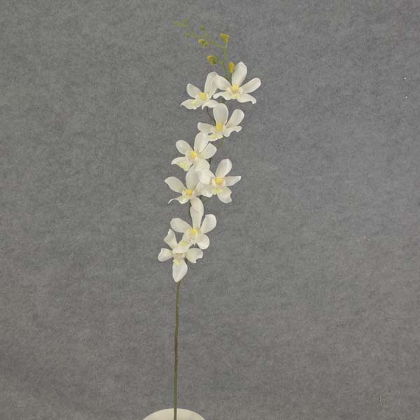 DENDROBIUM ORCHID SPRAY 29"  CREAM/WHITE