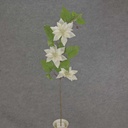 32" CLEMATIS SPRAY WHITE