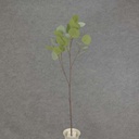 30" EUCALYPTUS SPRAY X6 SILK