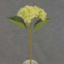 HYDRANGEA STEM w/ 2 LVS 19"  CREAM/GREEN