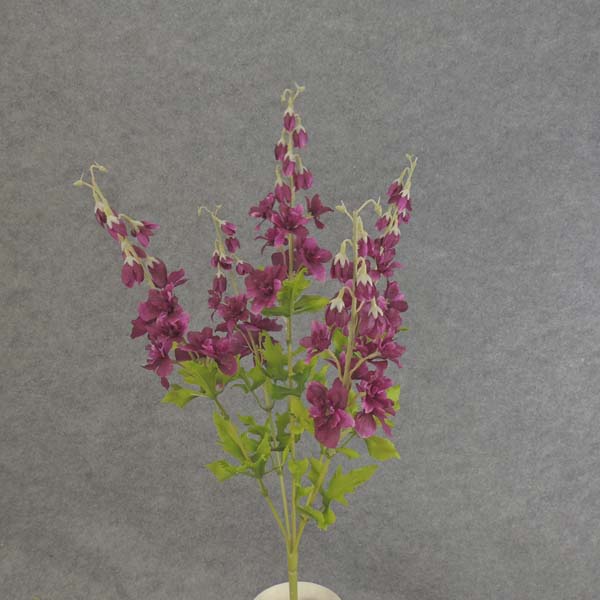 [SB6154-FUS] 24" DELPHINIUM BUSH X5 FUCHSIA