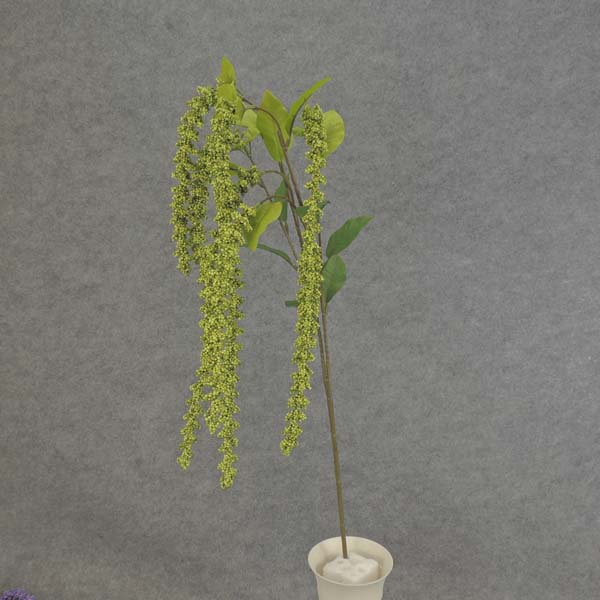 AMARANTHUS HANGING SPRAY X6 40"  GREEN