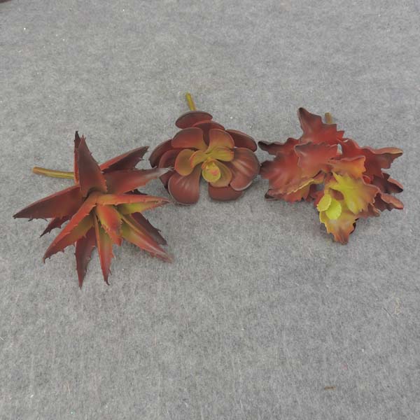 SUCCULENT PICK ASST (3/BAG)      RED/GREEN