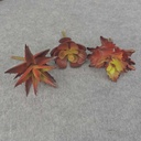 SUCCULENT PICK ASST (3/BAG)      RED/GREEN