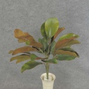 18.5" MAGNOLIA LEAF BUSH 18
