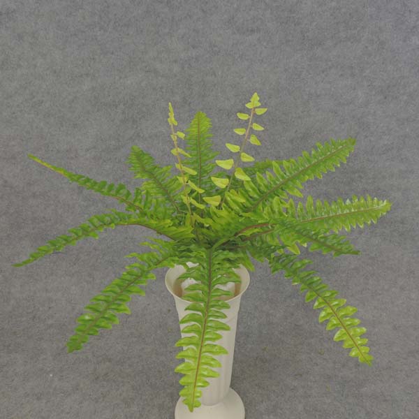 [SB6199] 13" BOSTON FERN BUSH X14 SILK