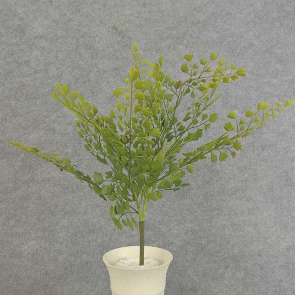 MAIDEN HAIR BUSH 14" PLASTIC