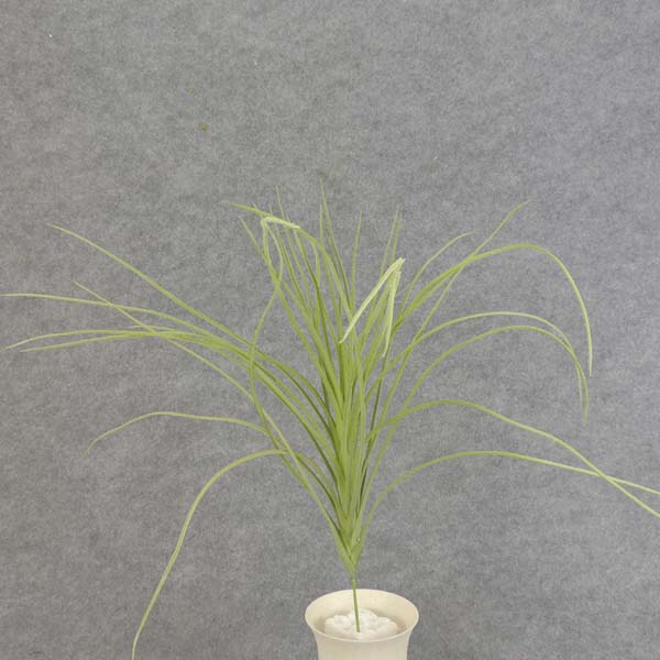 GRASS BUSH FLOCKED 22"