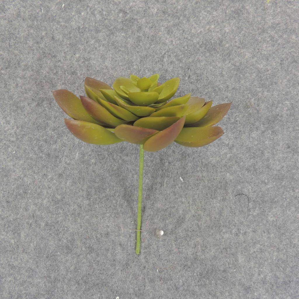 [SB6305-GRN] SUCCULENT HEN&CHICK 4"dia  GREEN