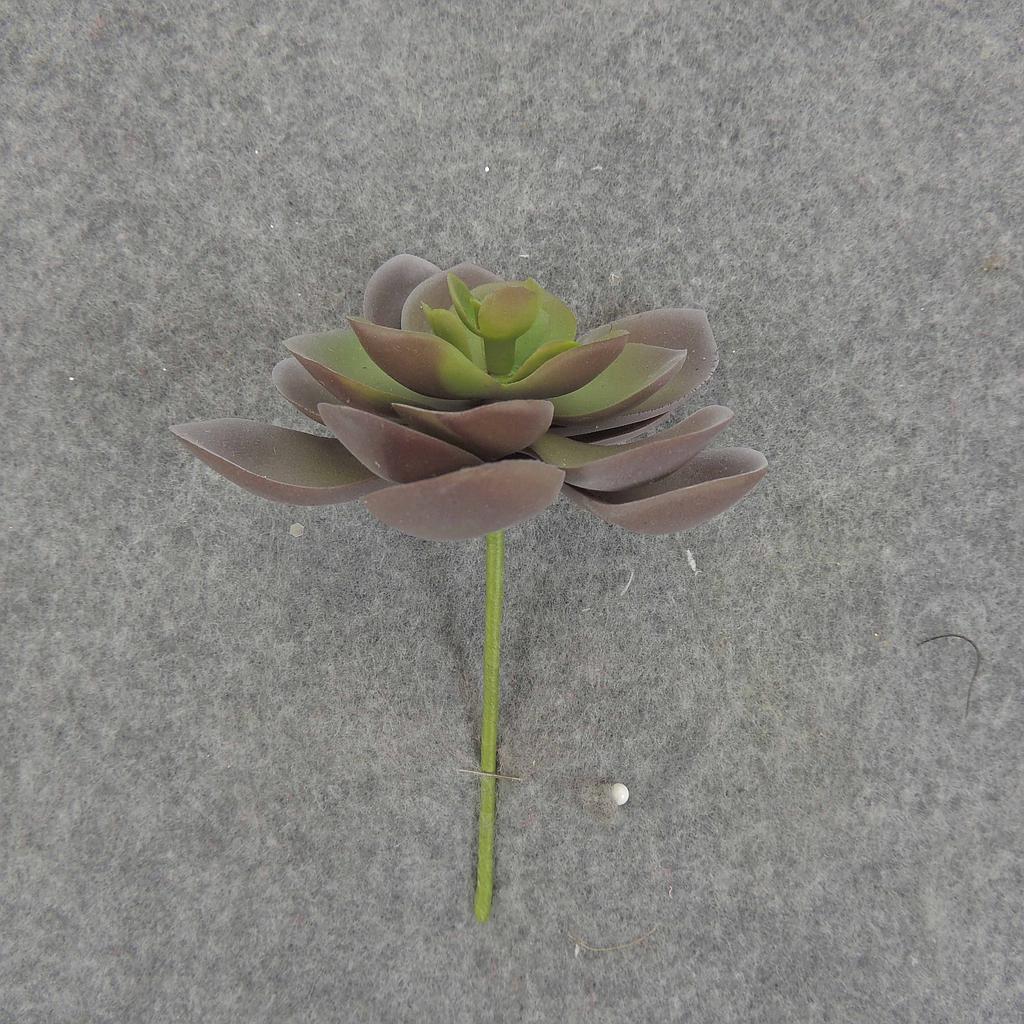 SUCCULENT HEN&CHICK 3"dia (6/BAG)   PURPLE/GREEN
