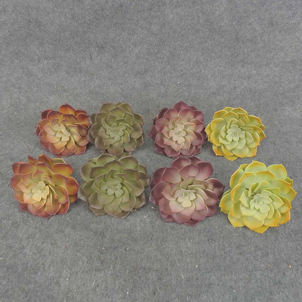 3.5" SUCCULENT PICK 8/BAG 4" d 4-ASST HEN/CHICK