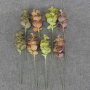 7" SUCCULENT PICK 8/BAG 4-ASST