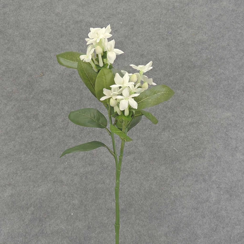 24" STEPHANOTIS SPRAY X3