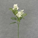24" STEPHANOTIS SPRAY X3