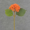 SEDUM STEM 15"  ORANGE