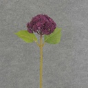 15" SEDUM STEM PURPLE