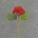 SEDUM STEM 15"  RED
