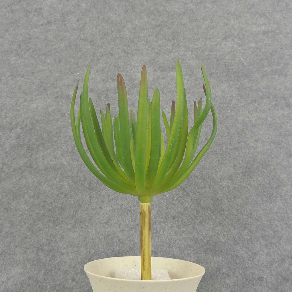 [SB6325-GRN] 8" SUCCULENT PICK 5" dia GREEN