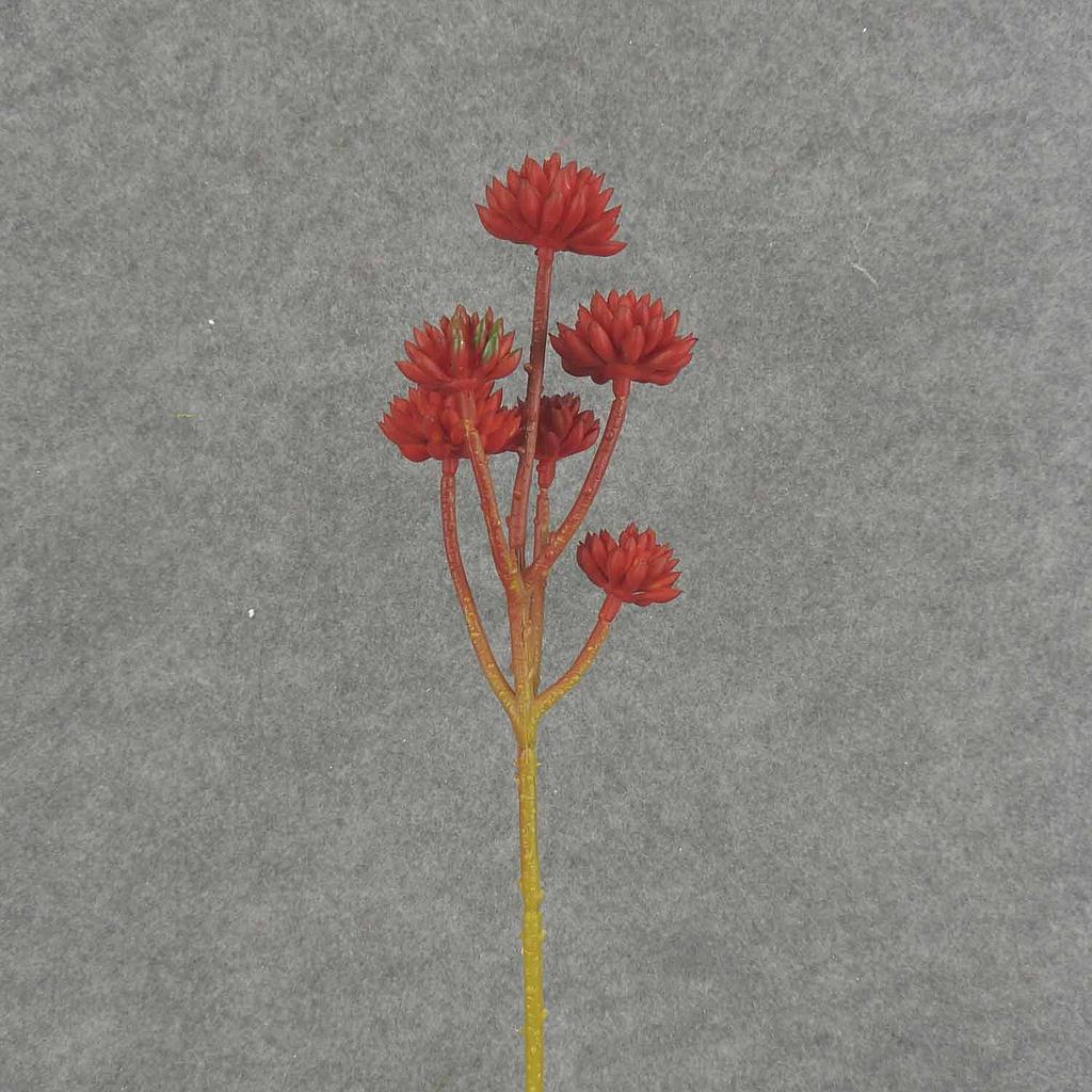 12.5" SUCCULENT PICK X6 12 6/BAG RED